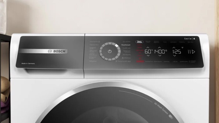 Pluntirio Rouxon Bosch WGB24459GR 9 kg A -50%